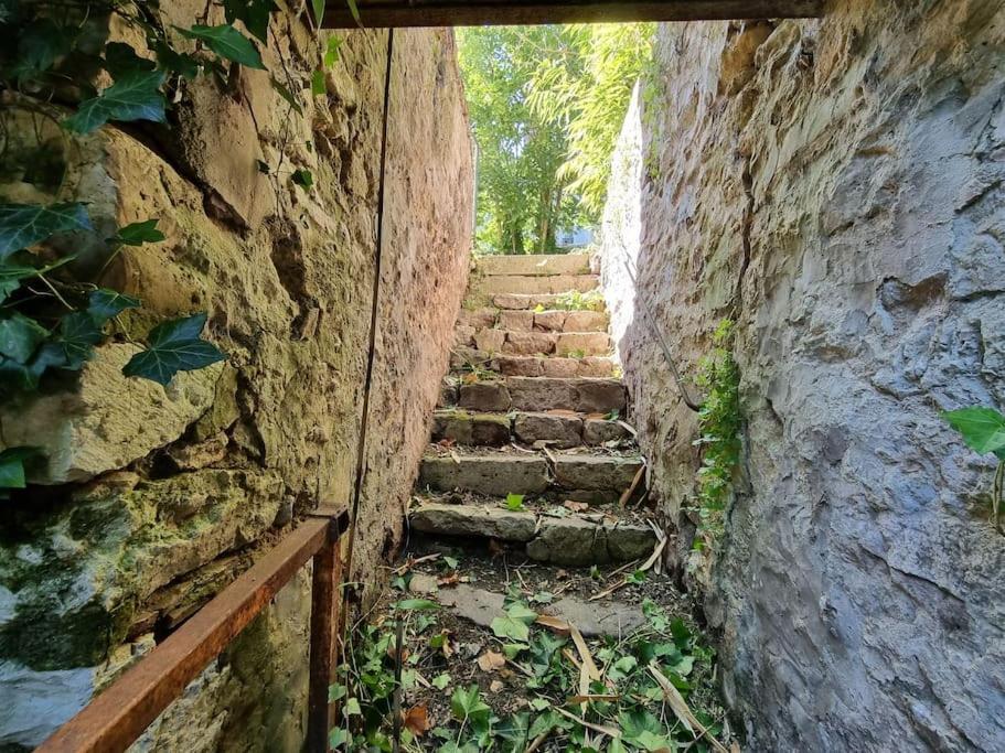 Elegance Provinoise Aux Pieds Des Remparts Classe Provins Exterior photo
